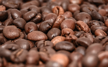 Precise Investigation: Ethiopian Coffee Beans