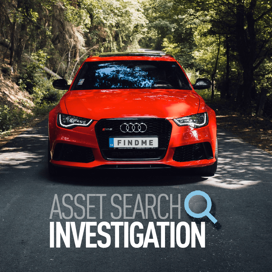 Asset Search Investigation: How It Works