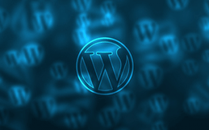 Setting up a website
