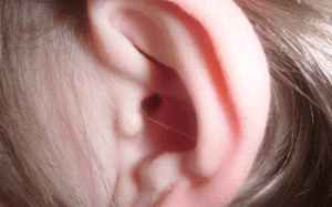 We use our ears to hear, but not necessarily to listen