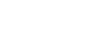 Precise Investigation Fingerprint 1
