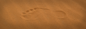Find a missing person with Precise Investigation